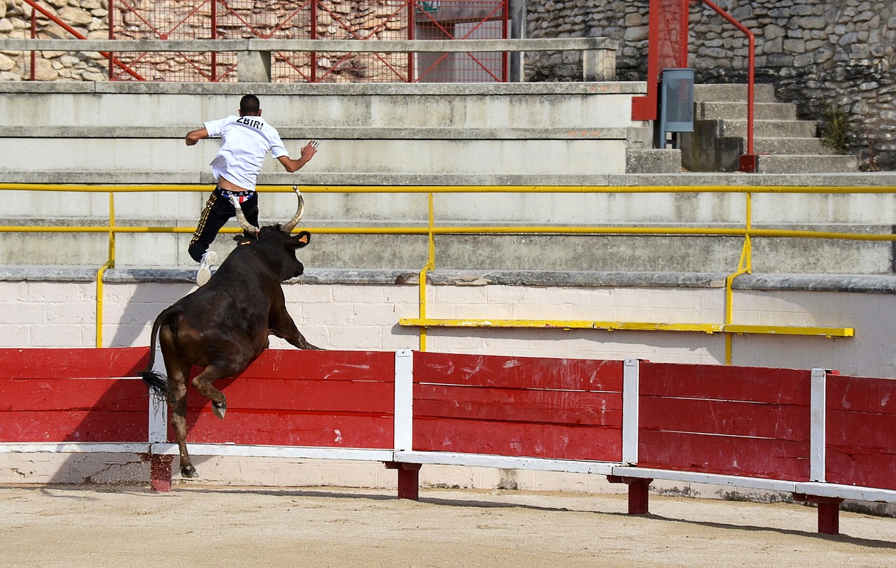 三分投射