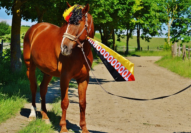 的球队突破 的球队突破