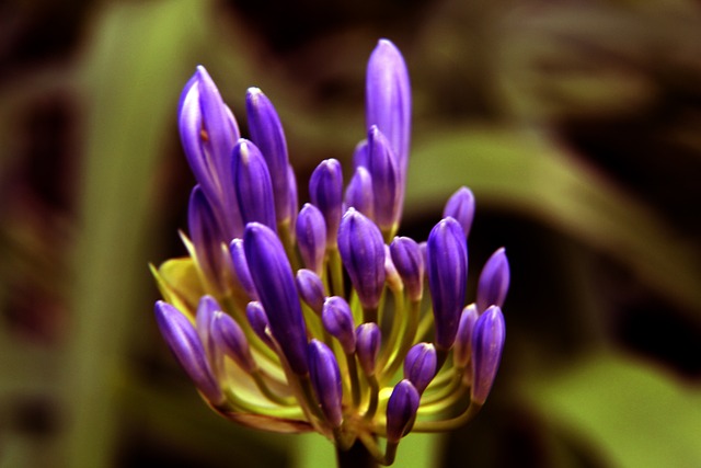 辉煌体育成 辉煌体育成