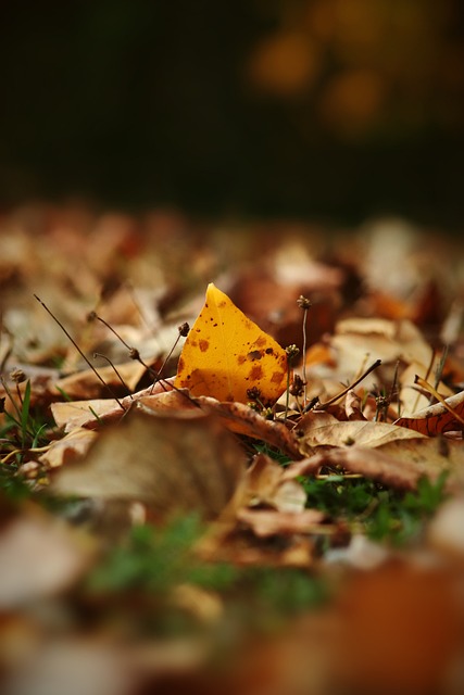 马林的背景 马林的背景