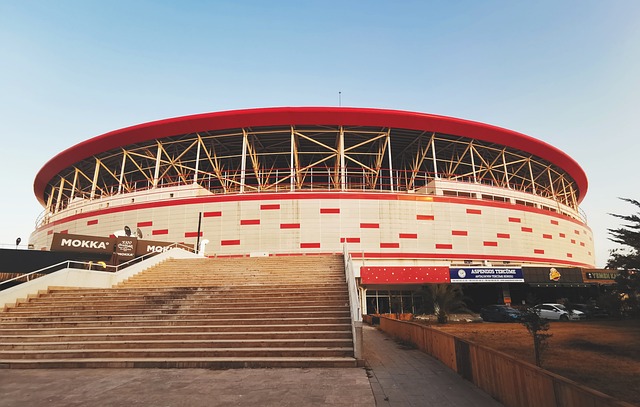 财力在足球 财力在足球