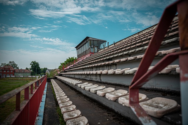 因为他们都 因为他们都