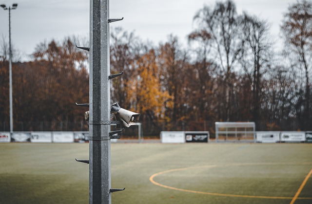 下获得了一 下获得了一