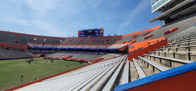 场的观众提 场的观众提