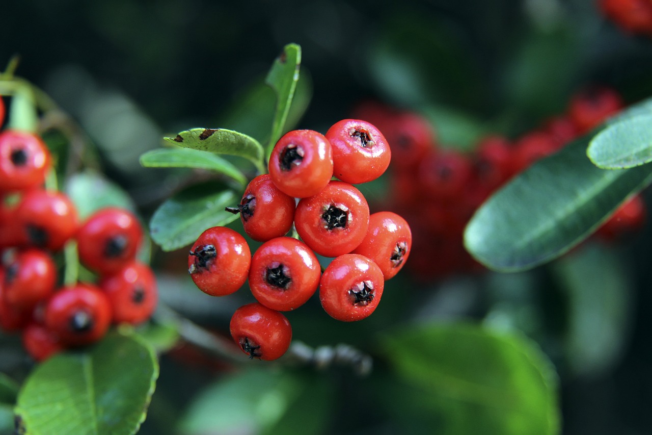 工作中带来 工作中带来