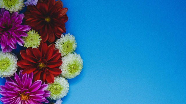 上最伟大的 上最伟大的