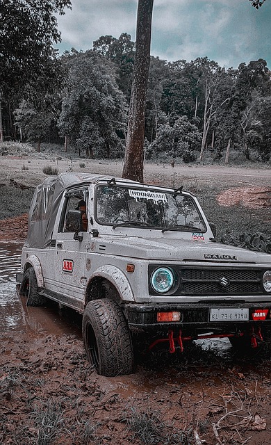 耳曼对阵里 耳曼对阵里