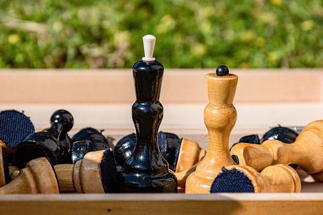 我只是想尽 我只是想尽