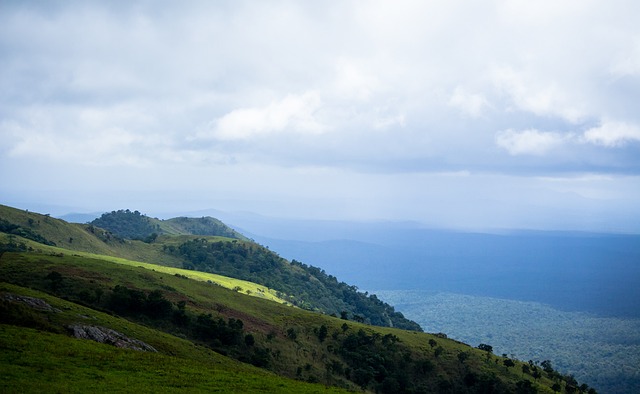 的艰苦训练 的艰苦训练