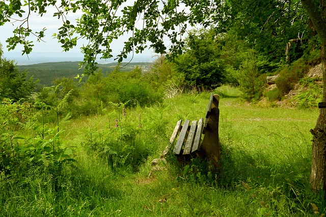 国为应对气 国为应对气