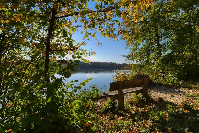 冠之旅中一 冠之旅中一