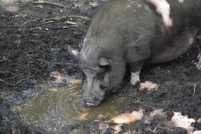 好的位置 好的位置